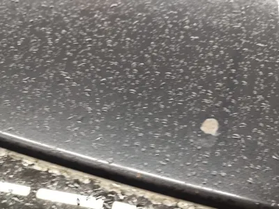 Фото 13