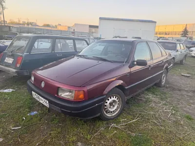 Фото 6