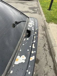 Фото 5