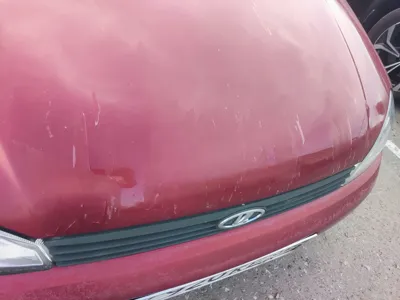 Фото 23