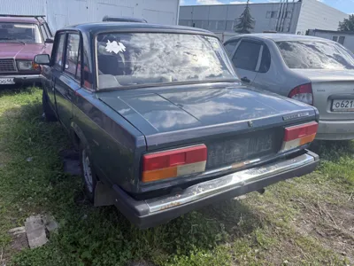 Фото 5