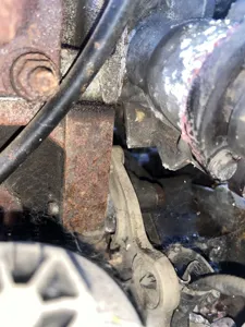 Фото 11