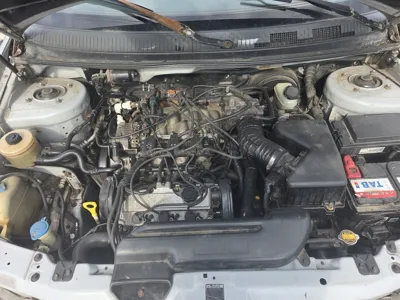 Фото 11