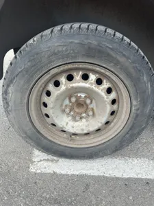 Vortex Tingo