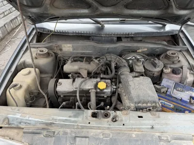Фото 21