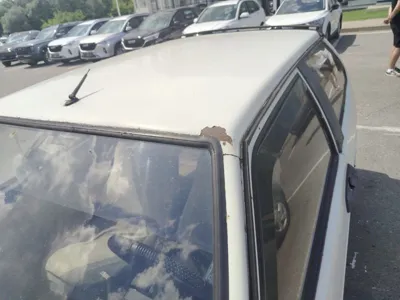 Фото 11