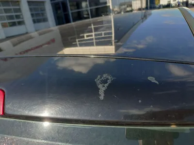 Фото 22