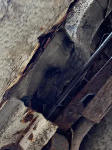 Фото 69