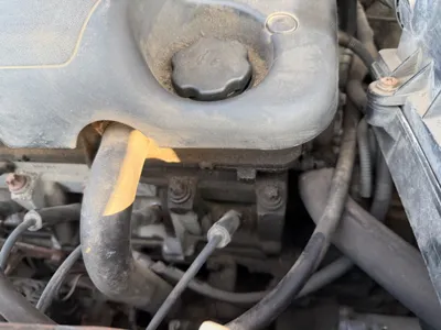 Фото 3