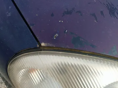 Фото 66